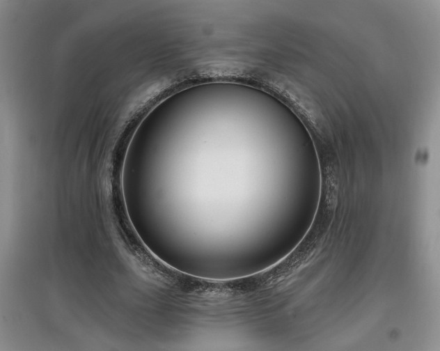 X0000097870631200803141259