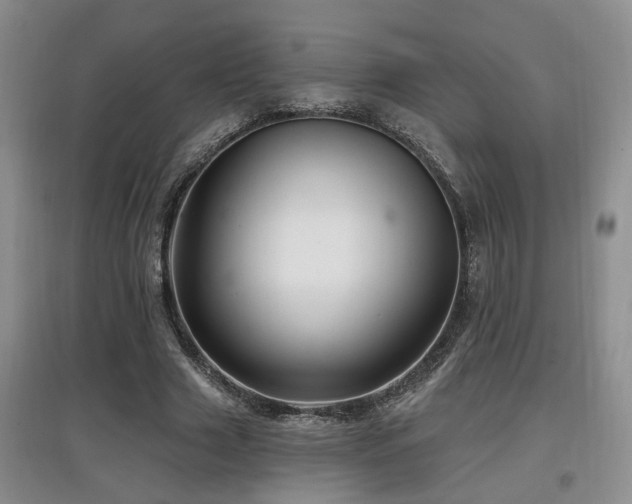 X0000097870633200803141259