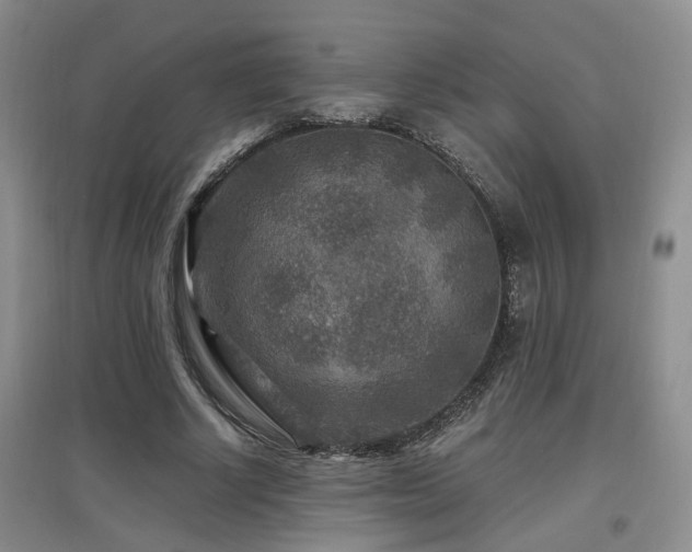X0000097870634200803141259