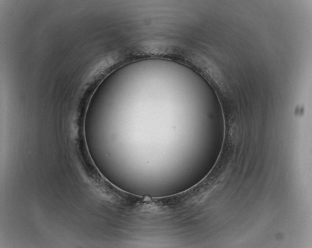 X0000097870635200803141259