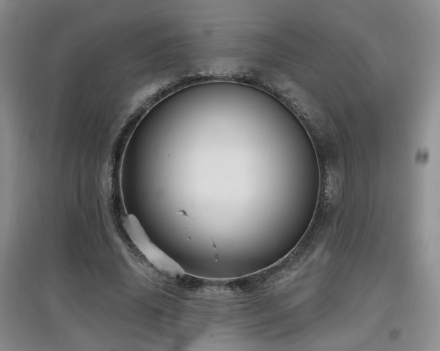 X0000097870636200803141259