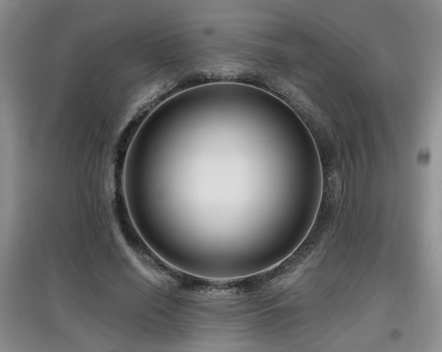 X0000097870638200803141259