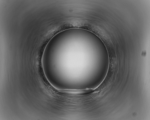 X0000097870639200803141259
