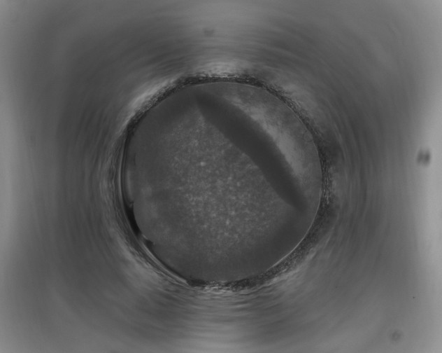X0000097870640200803141259