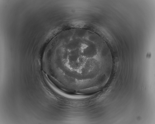 X0000097870641200803141259