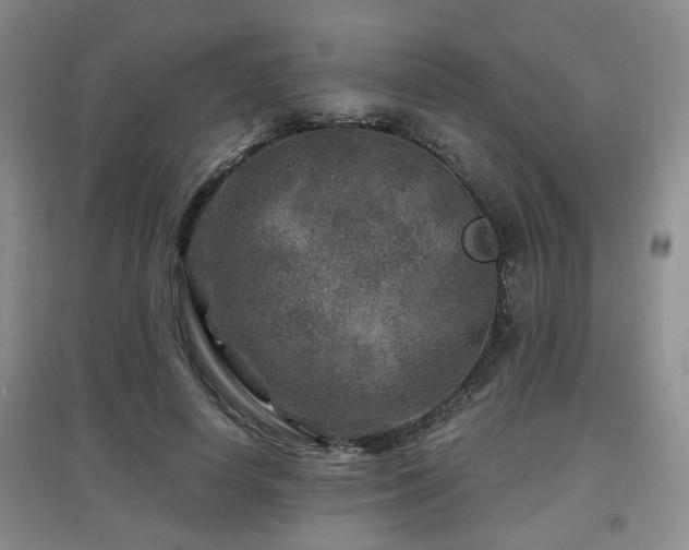 X0000097870642200803141259