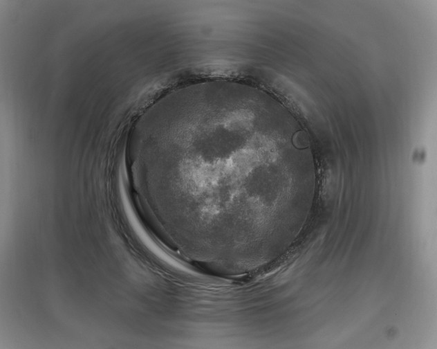 X0000097870643200803141259