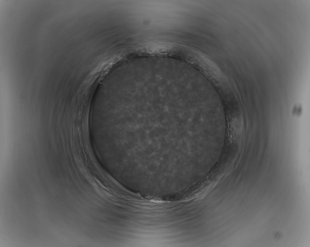 X0000097870644200803141259