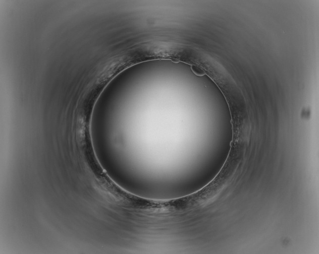 X0000097870646200803141259