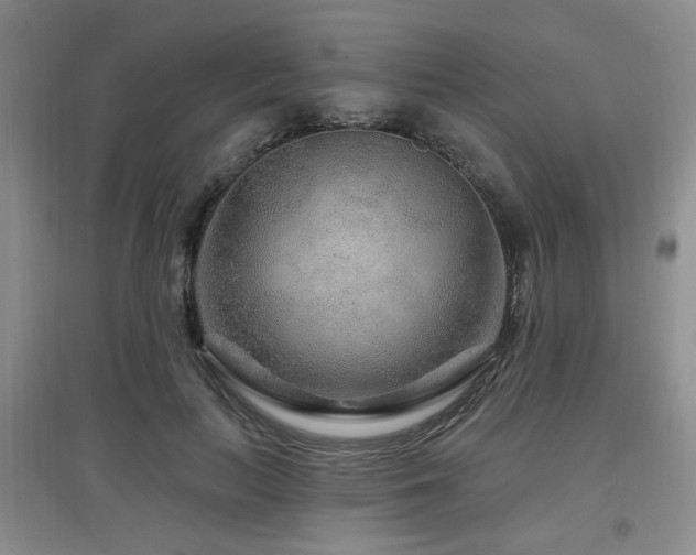 X0000097870647200803141259