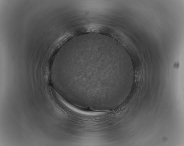 X0000097870648200803141259
