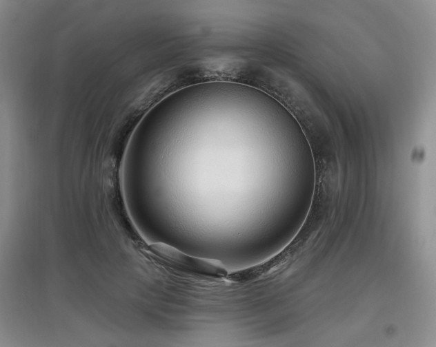 X0000097870649200803141259