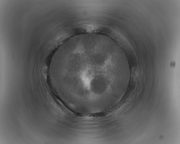 X0000097870650200803141259