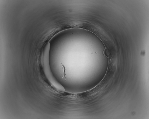 X0000097870652200803141259