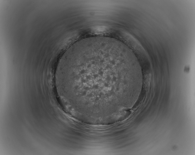 X0000097870653200803141259