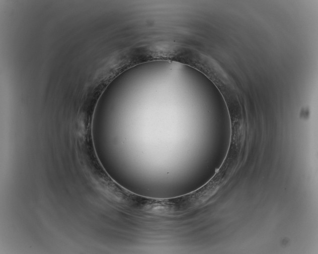 X0000097870655200803141259