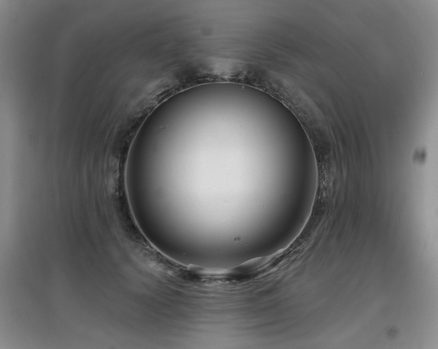 X0000097870656200803141259