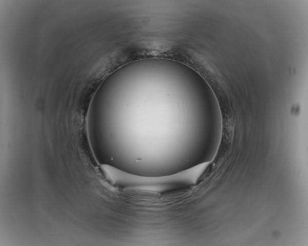 X0000097870657200803141259