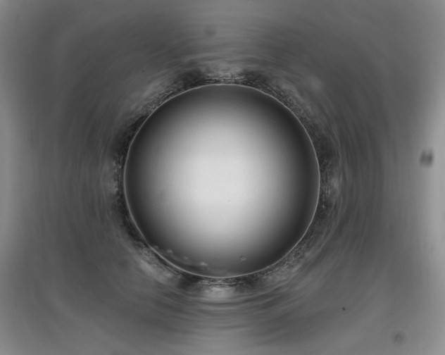 X0000097870658200803141259