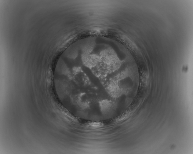 X0000097870659200803141259