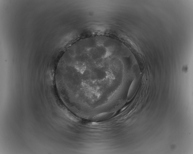 X0000097870661200803141259