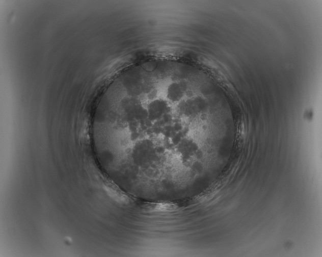 X0000097870663200803141259