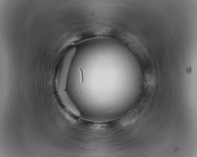 X0000097870664200803141259