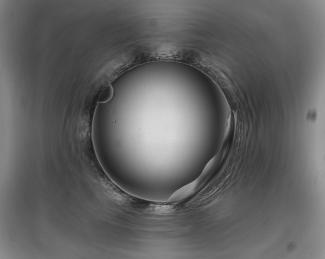X0000097870665200803141259