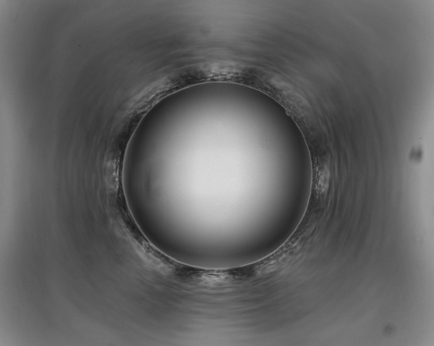 X0000097870666200803141259
