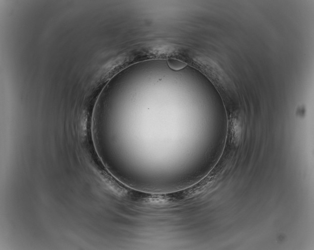 X0000097870668200803141259