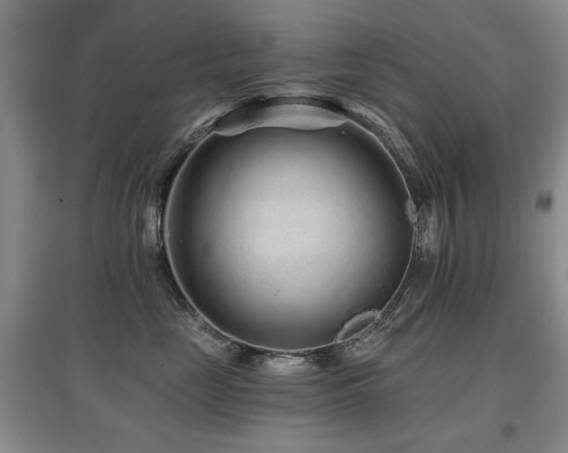 X0000097870669200803141259