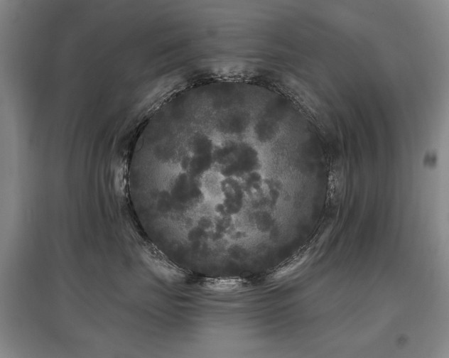 X0000097870671200803141259