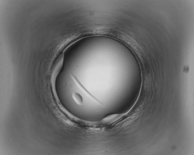 X0000097870673200803141258
