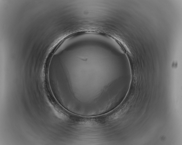 X0000097870674200803141258