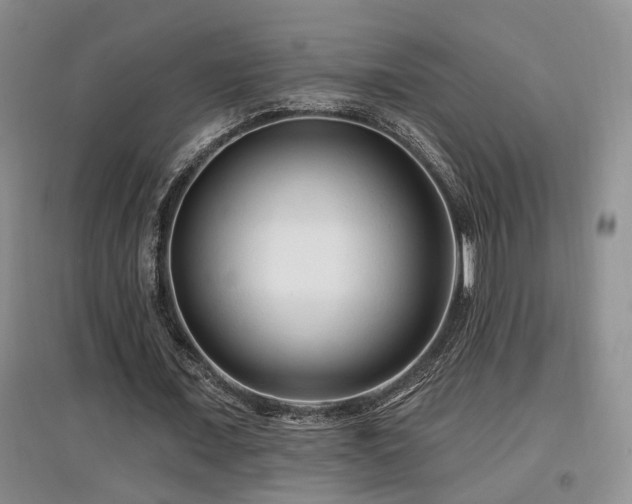 X0000097870675200803141258