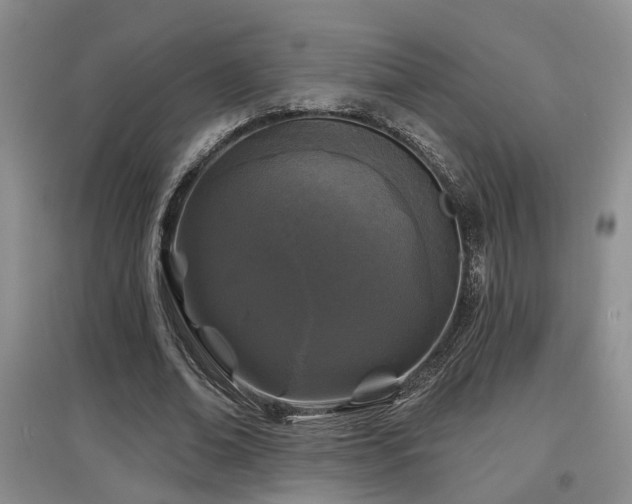 X0000097870678200803141258