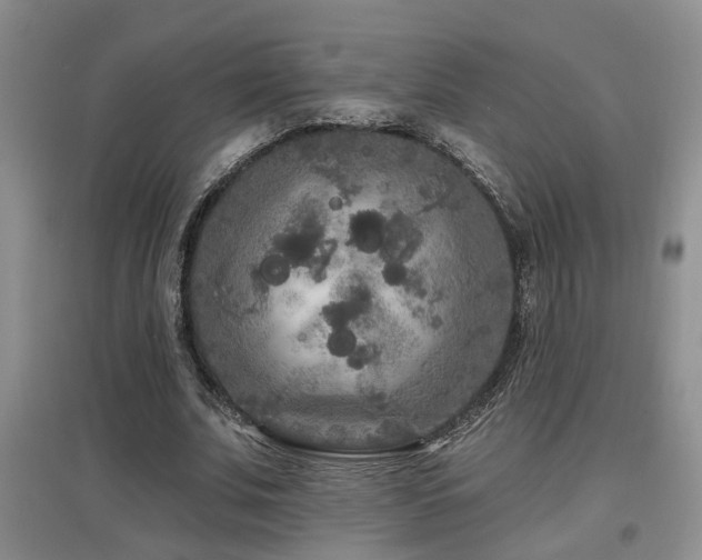 X0000097870679200803141258