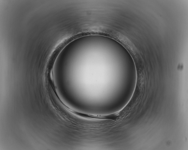 X0000097870680200803141258