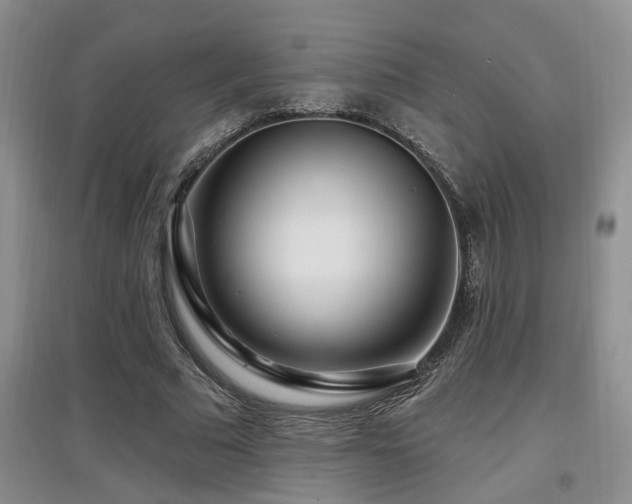 X0000097870681200803141258