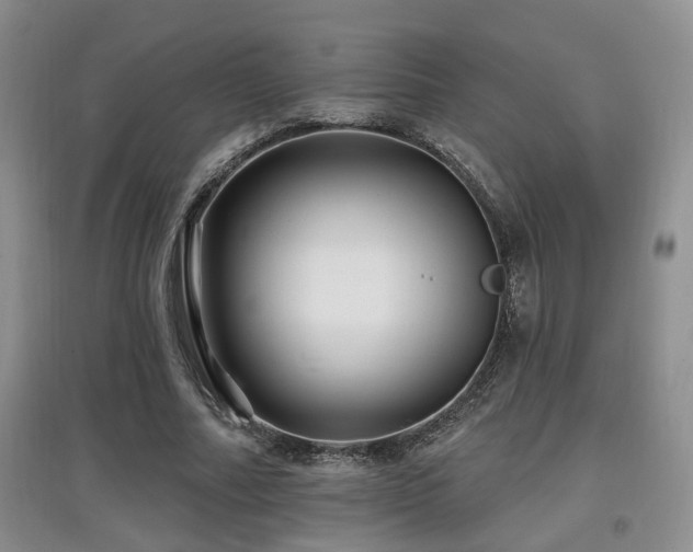 X0000097870682200803141258