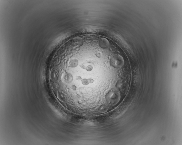 X0000097870683200803141258