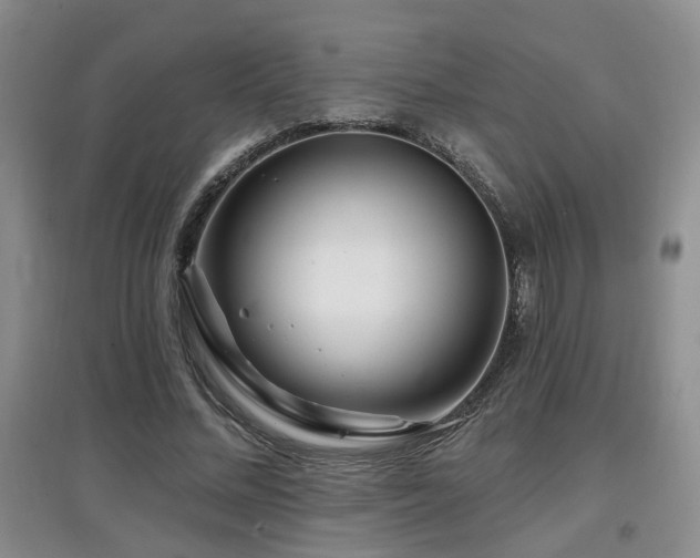 X0000097870684200803141258