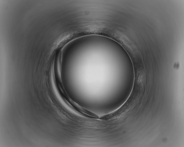 X0000097870685200803141258