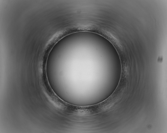 X0000097870686200803141258