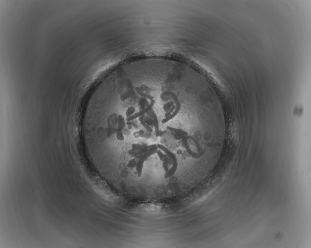 X0000097870687200803141258