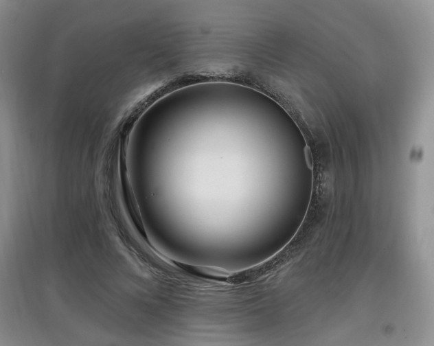 X0000097870688200803141258