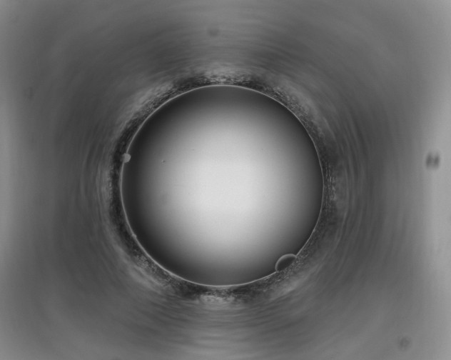 X0000097870690200803141258