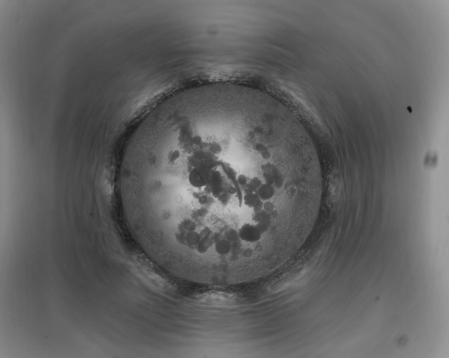 X0000097870691200803141258