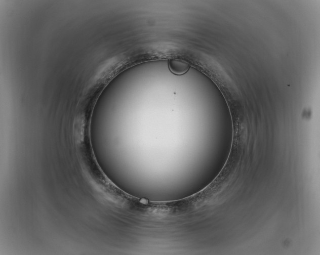 X0000097870694200803141258
