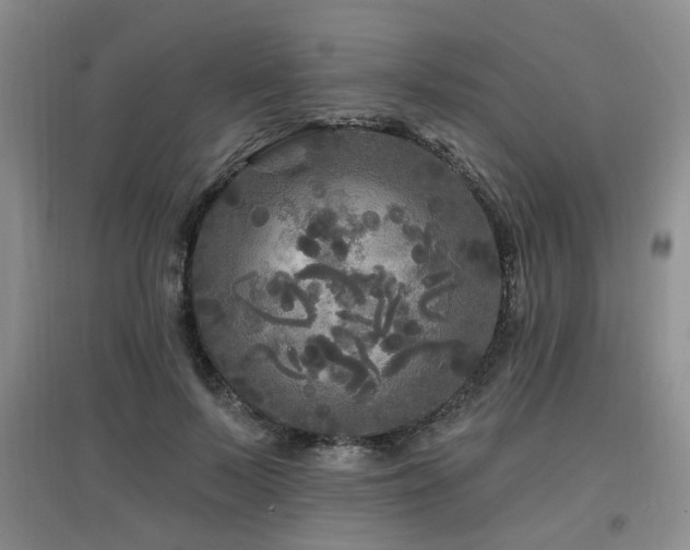 X0000097870695200803141258